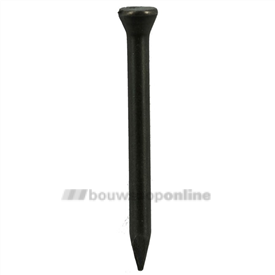 Don-Quichotte stalen nagels conischekop 30x2 mm [100x]